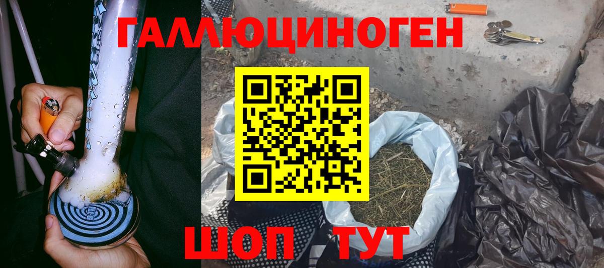 закладки  Галлюциногенные грибы MAGIC MUSHROOMS  Вход с VPN  Нарткала 