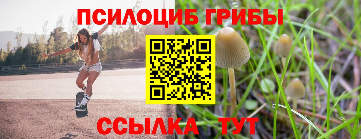 Псилоцибиновые грибы Psilocybine cubensis Нарткала